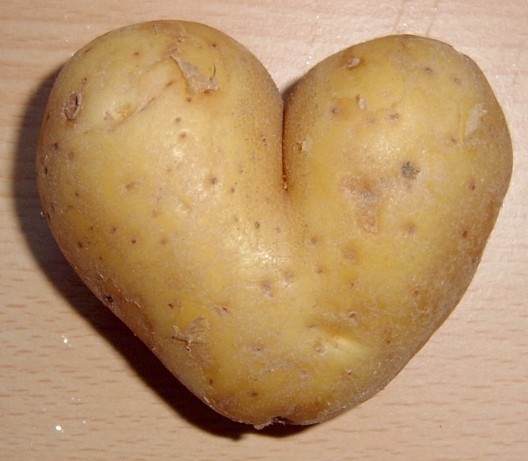 Heart=shaped tuber inspired latest round of potato battery research