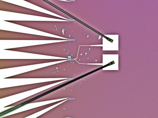 Tungsten-diselenide device connected to electrodes.  Illustration: UT Vienna