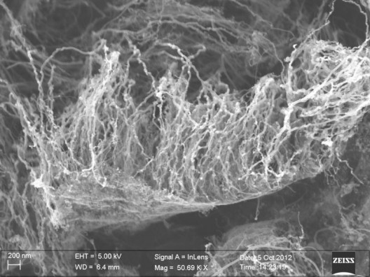 Rice University and the Honda Research Institute use single-layer graphene to grow forests of nanotubes on virtually anything. The image shows freestanding carbon nanotubes on graphene that has been lifted off of a quartz substrate. One hybrid material created by the labs combines three allotropes of carbon – graphene, nanotubes and diamond – into a superior material for thermal management - one of many research avenues followed by Dr. 