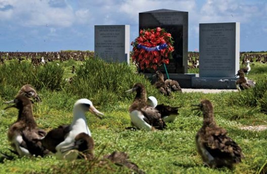 Midway National Memorial commemorates WWII battle.  Albatross next there, but are endangered by worldwide plastic pollution in oceans